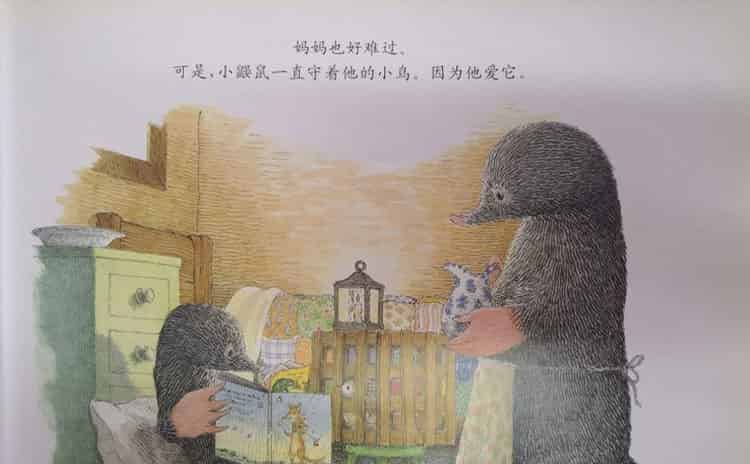 鼹鼠与小鸟 鼹鼠与小鸟