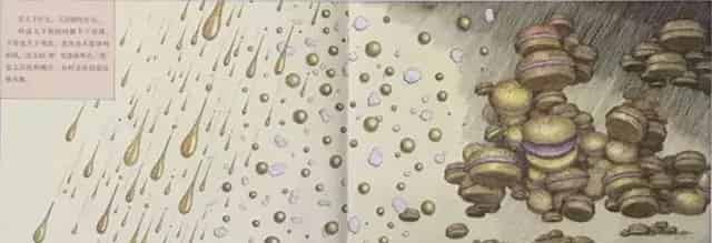 阴天有时候下肉丸