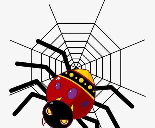 蜘蛛的危险经历