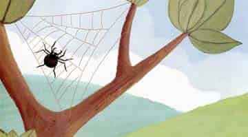 蜘蛛王国的比赛