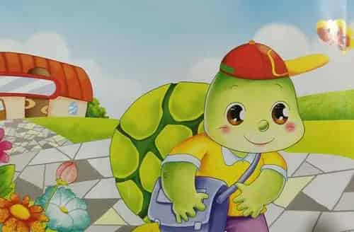 坐在书包上的小乌龟