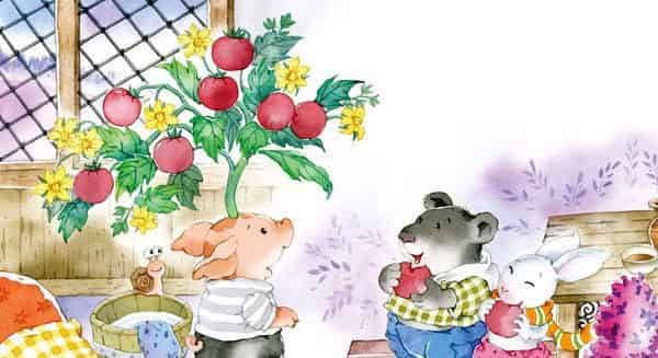 长在头上的西红柿