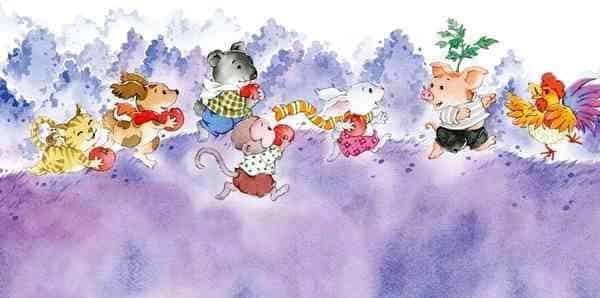 长在头上的西红柿