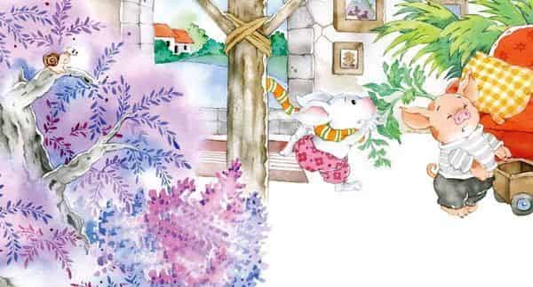 长在头上的西红柿